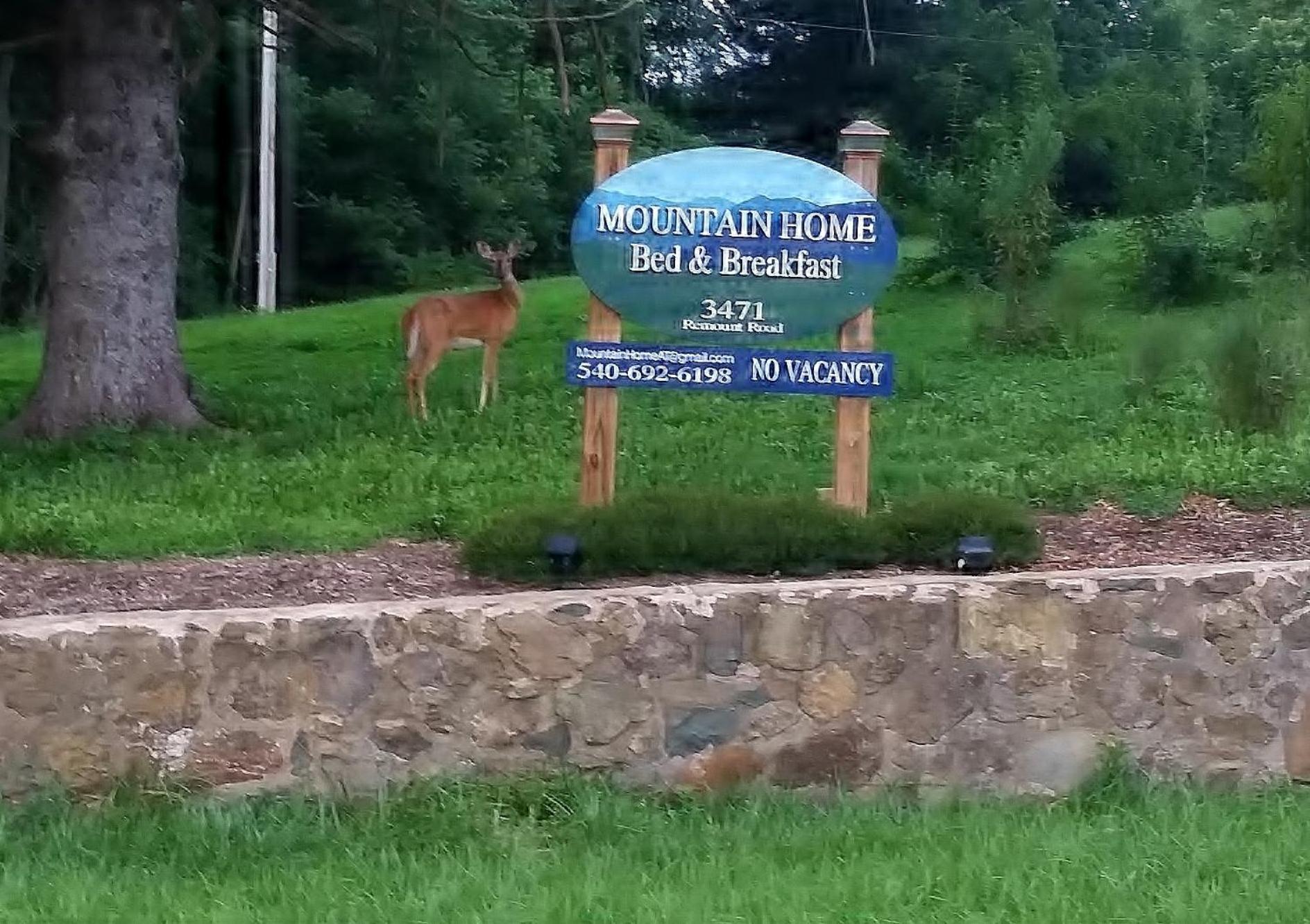 Mountain Home Bed & Breakfast 皇家前线 外观 照片